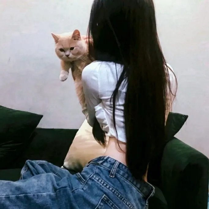 狙击女妙探