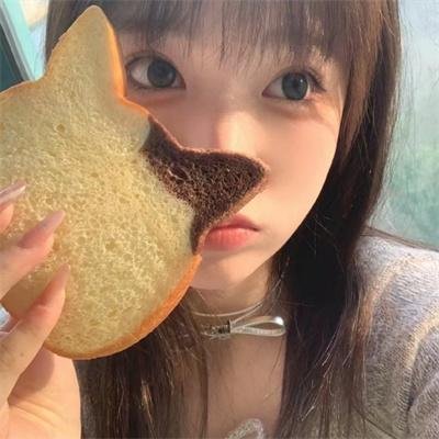 以规则之名